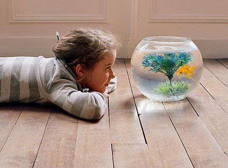 Child and Aquarium
