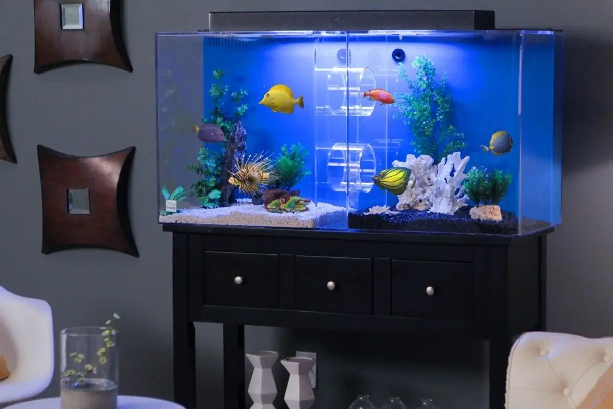 Aquarium with Fish