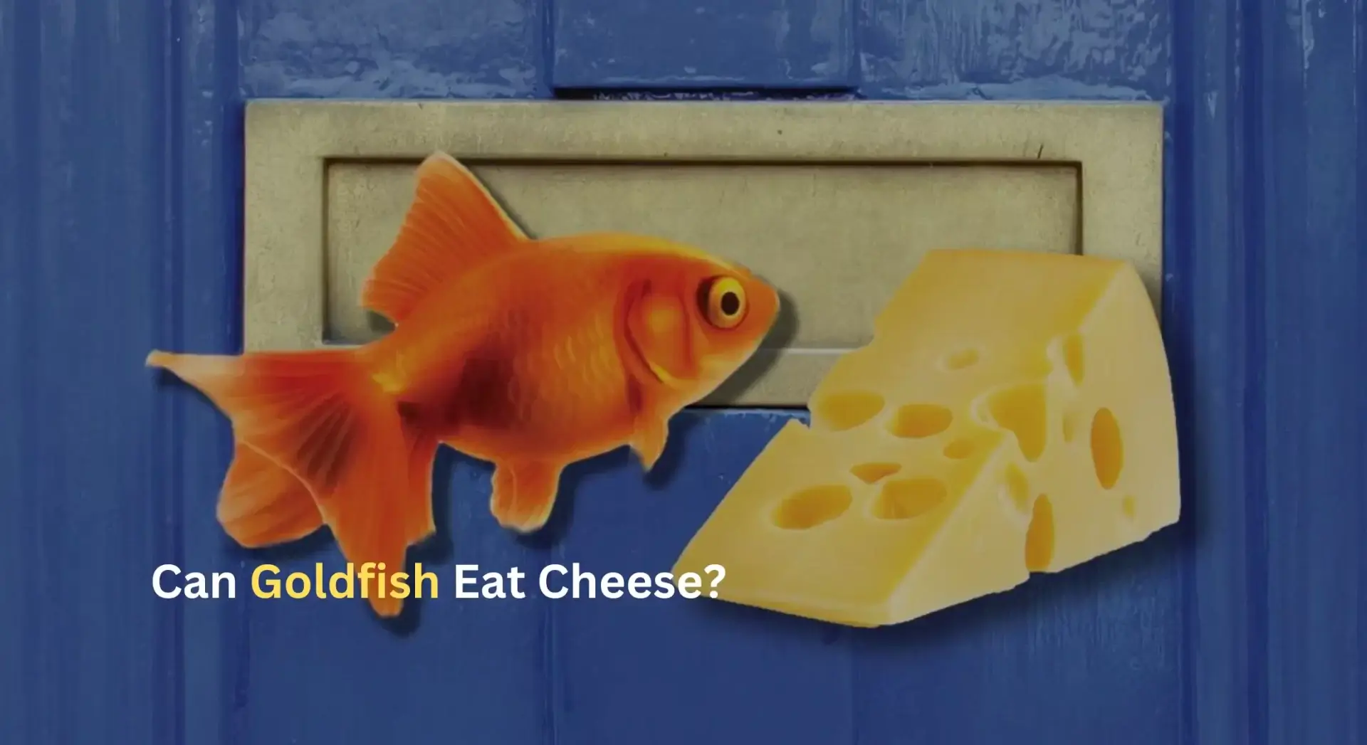 Can Goldfish Eat Cheese? Discover the Surprising Truth Here!