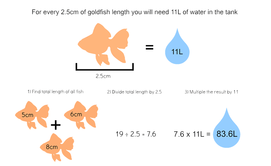 Water for Goldfish